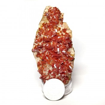 Vanadinita 8x3.5 cm