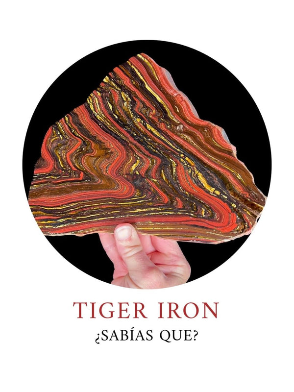 ¿Sabías Qué? - Tiger Iron
