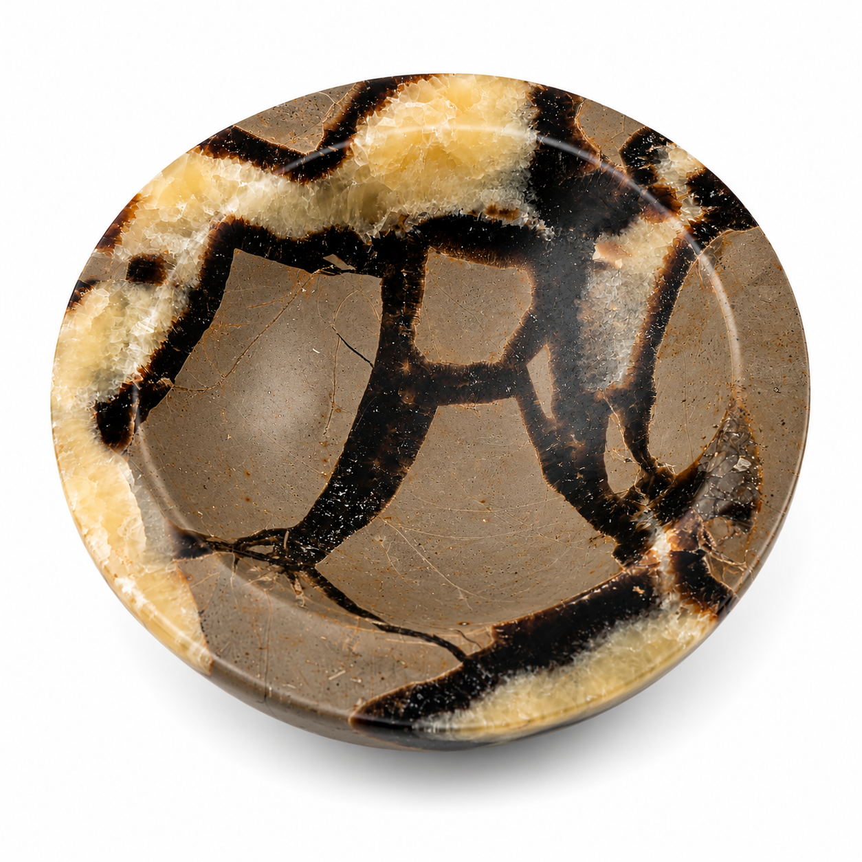 Bowl de Septaria ~8 cm