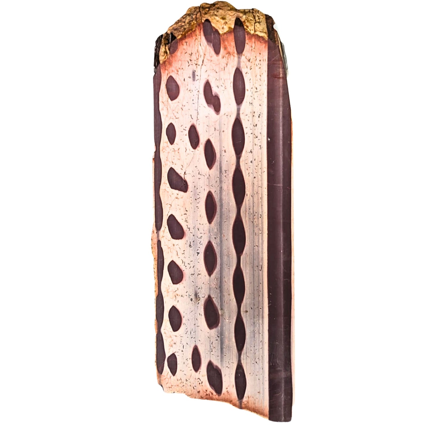 Piedra Cebra Aprox 19 x6.5 cm, 10 mm de grosor