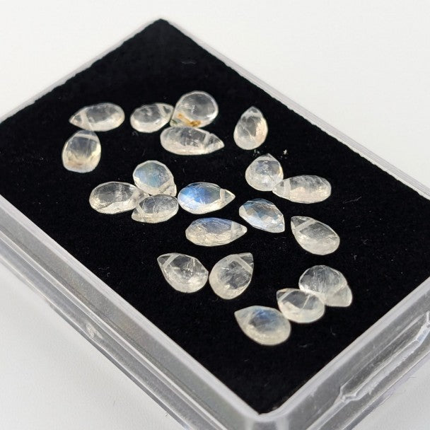 Briolette de Piedra Luna 7 x 5 mm