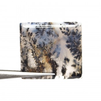 Ágata con dendritas 27x25 mm