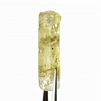 Heliodoro 2.5 cm