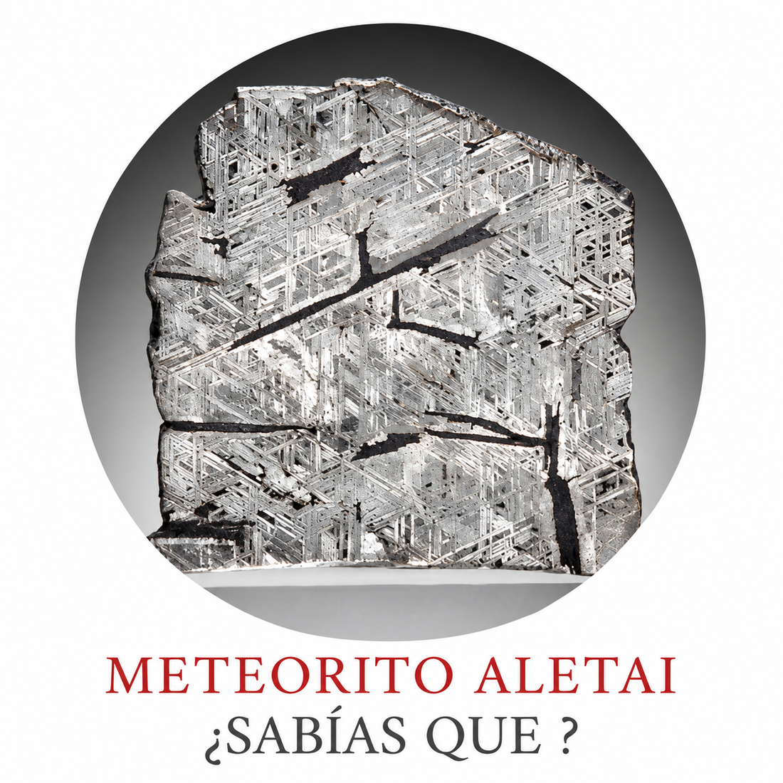 ¿SABÍAS QUÉ? - METEORITO ALETAI