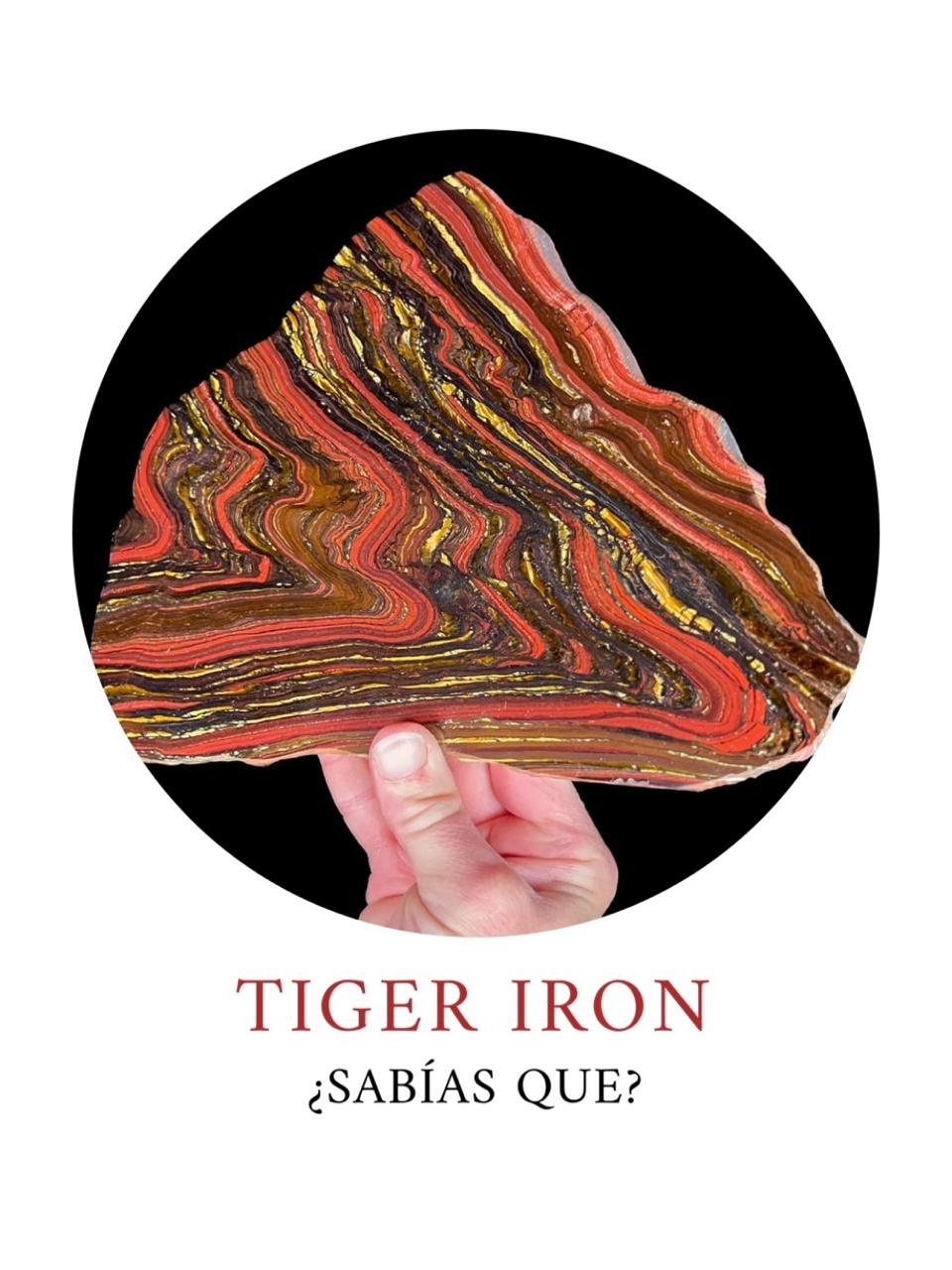 ¿Sabías Qué? - Tiger Iron