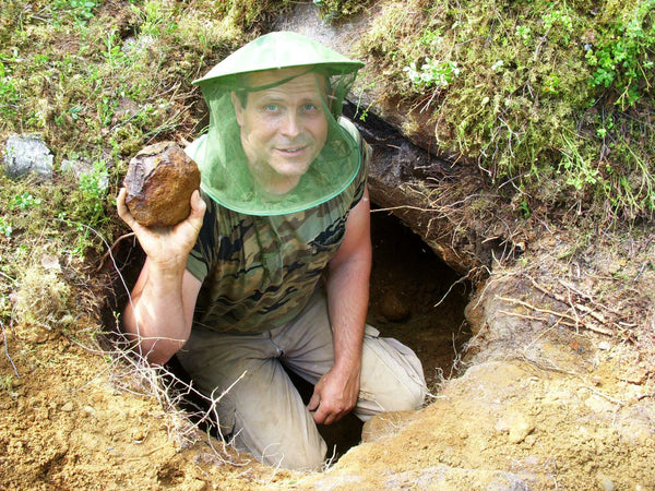 METEORITO DE MUONIONALUSTA