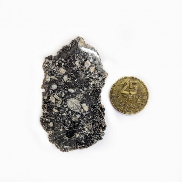 ¿QUÉ ES UN METEORITO LUNAR NWA 15629 ?