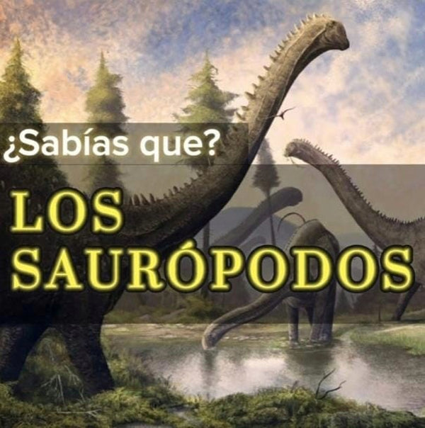 ¿SABIAS QUÉ? - LOS SOROPODOS