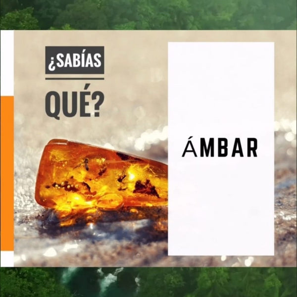 ¿QUÉ ES EL ÁMBAR?