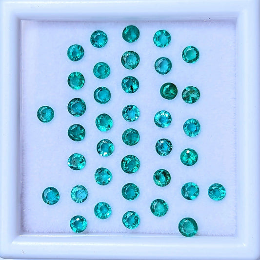F-ESA10