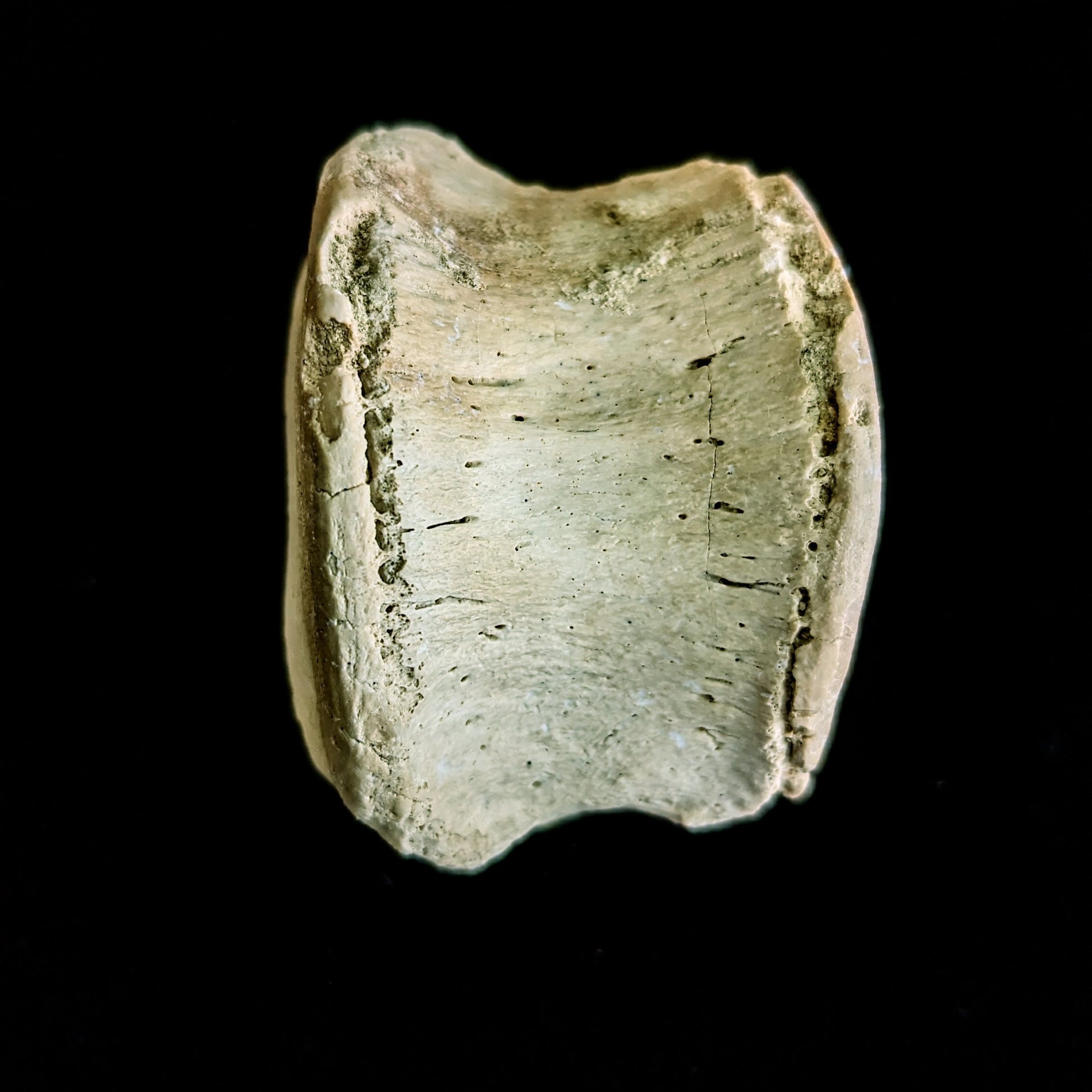 F-VB1