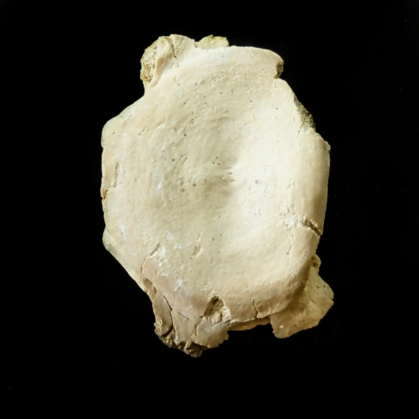 F-VB3