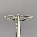 F-ZABH1