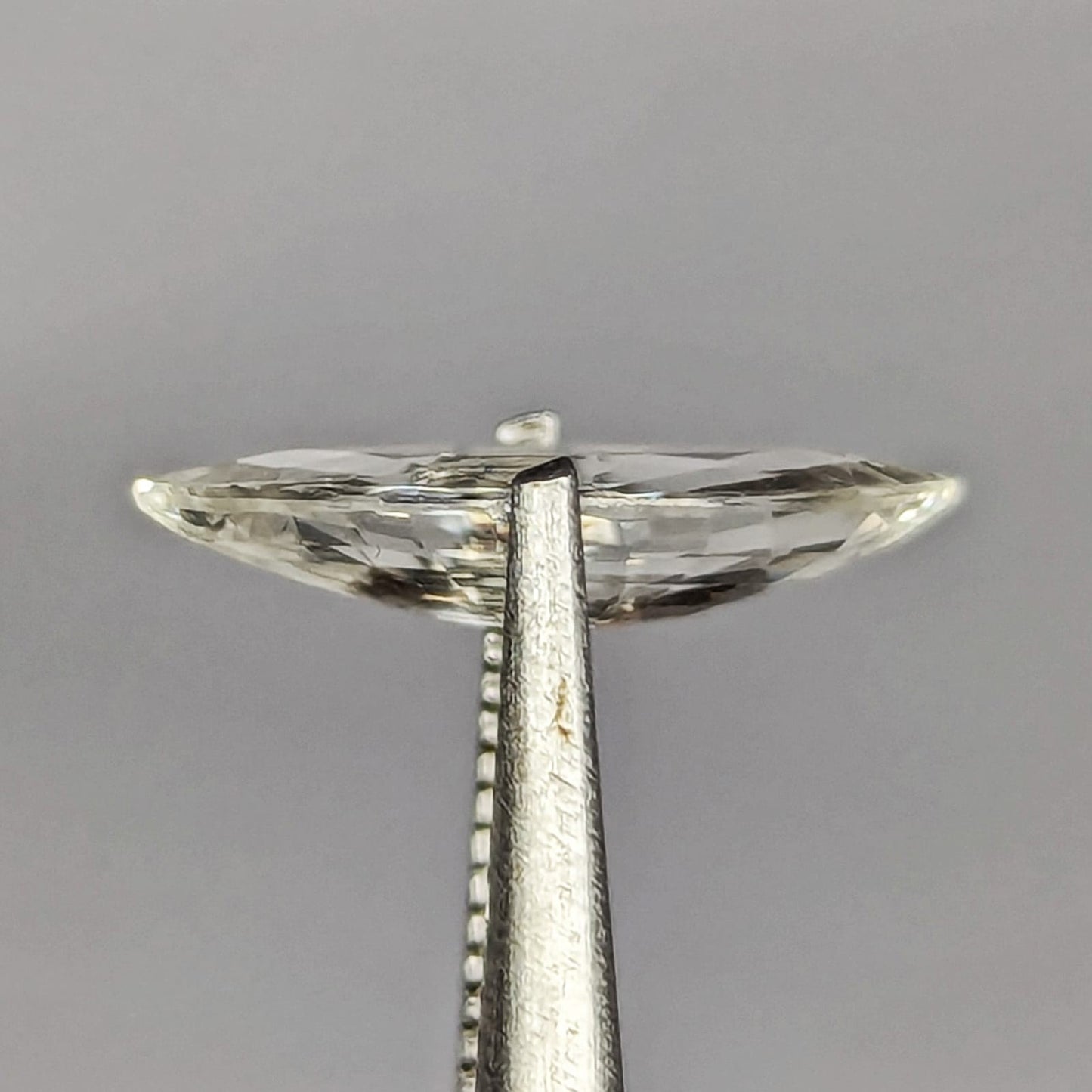 F-ZABH1