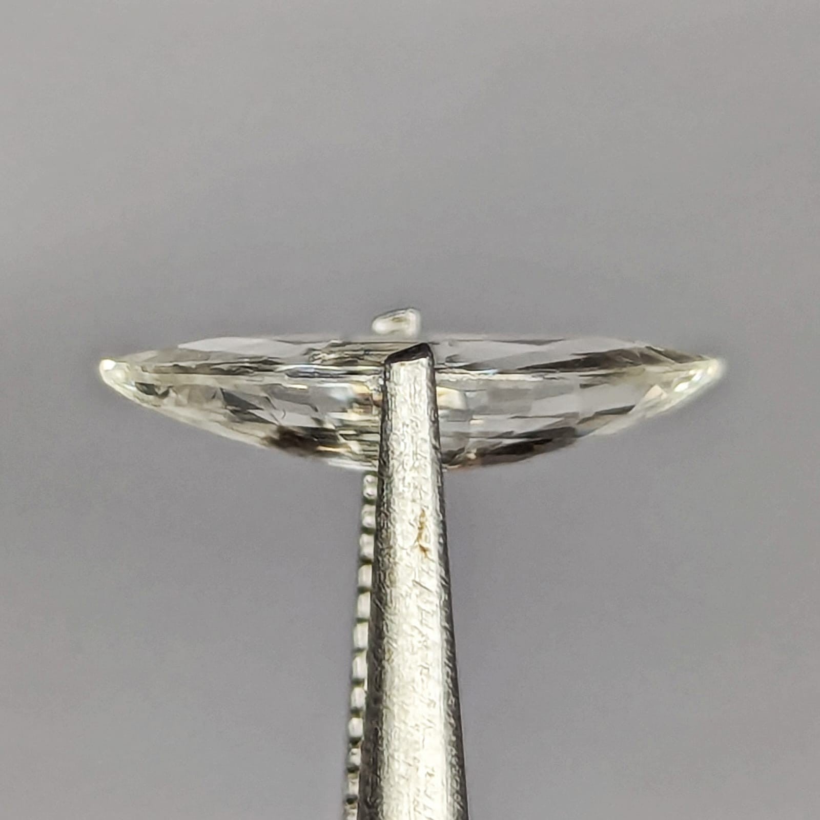 F-ZABH1