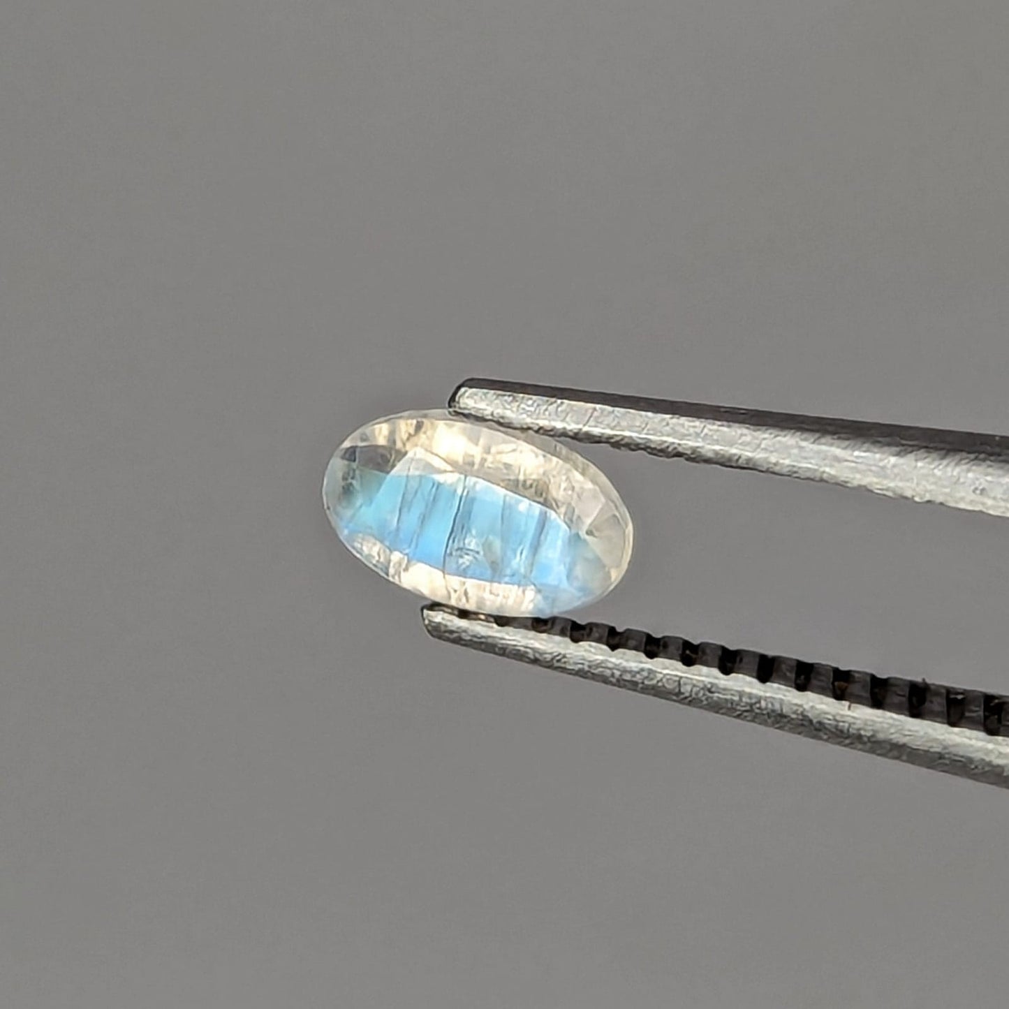F-PLAB2