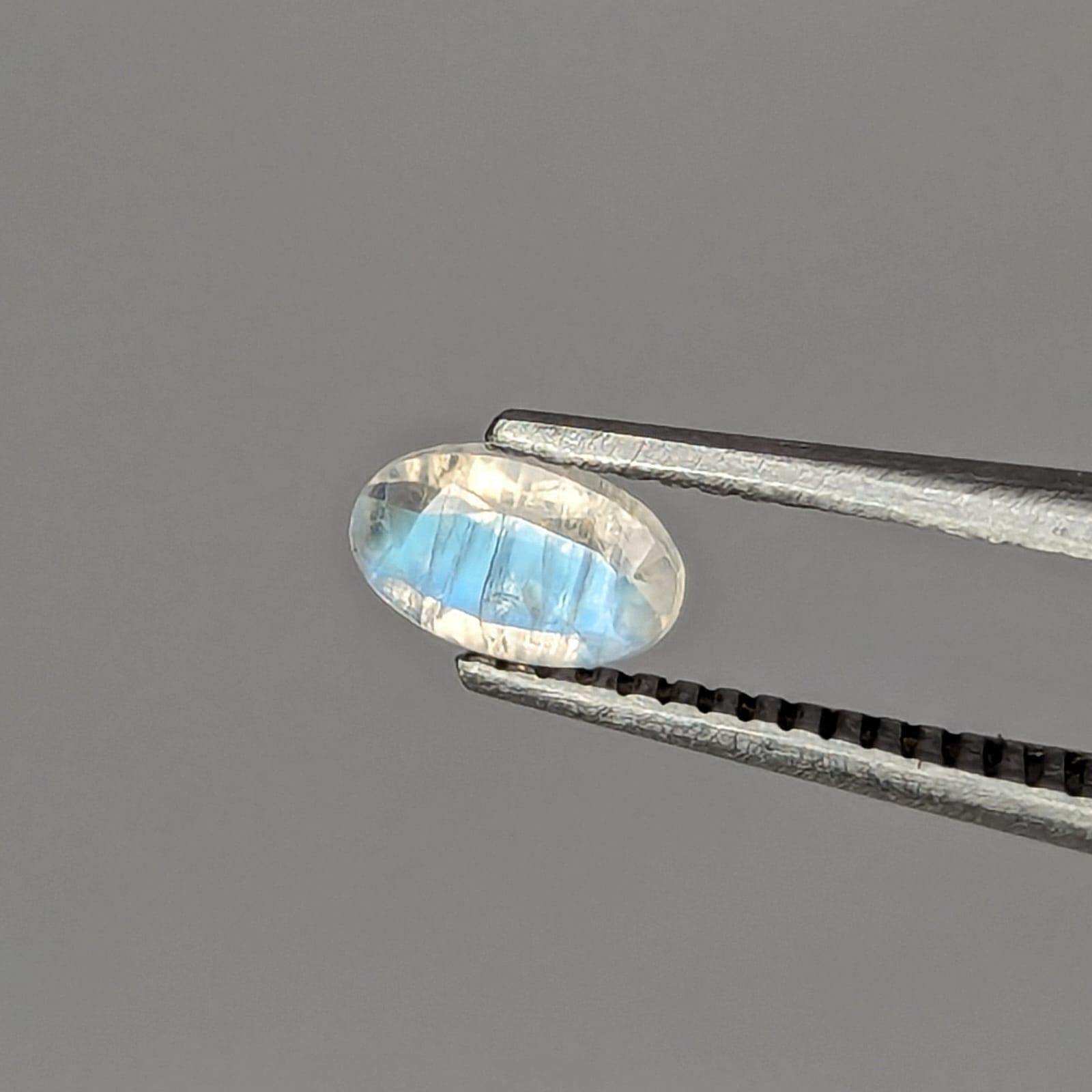 F-PLAB2