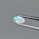 F-PLAB2