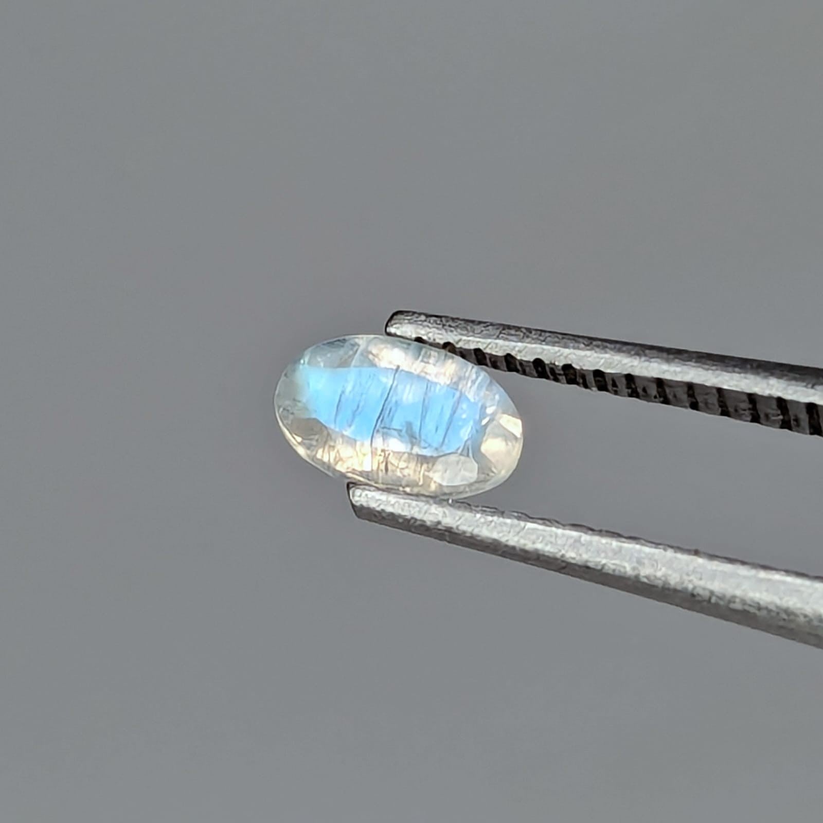 F-PLAB2