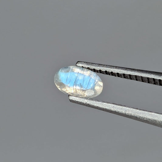 F-PLAB2