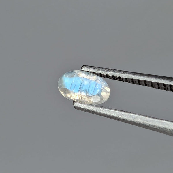 F-PLAB2