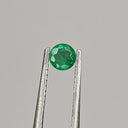 F-ESA12