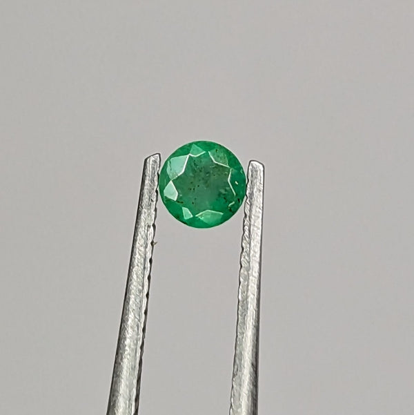 F-ESA12