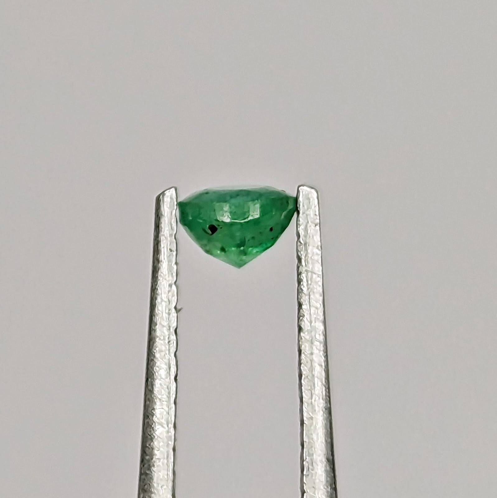 F-ESA12