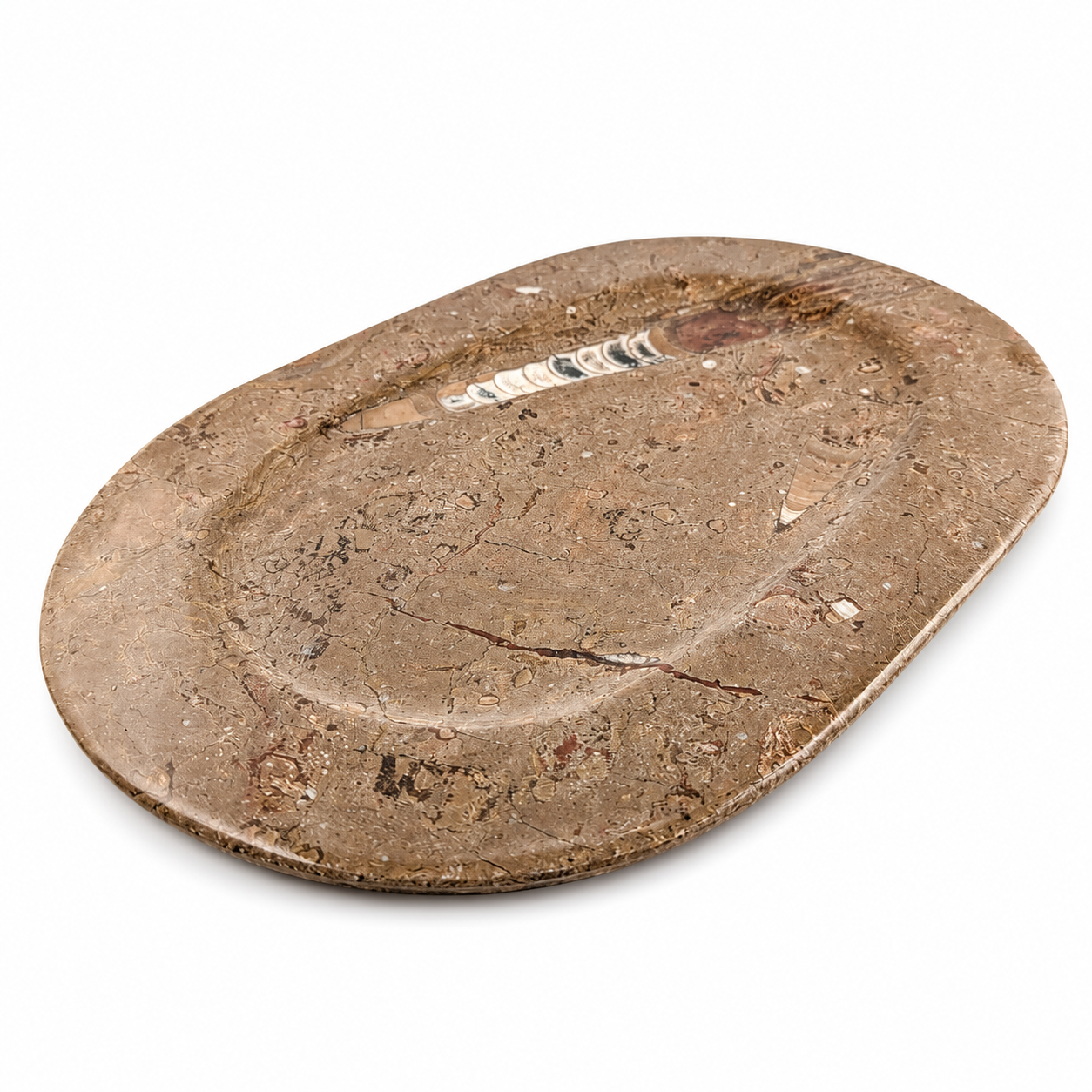 Plato de Orthoceras de Marruecos 23x34 cm