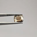 F-ZGSE3