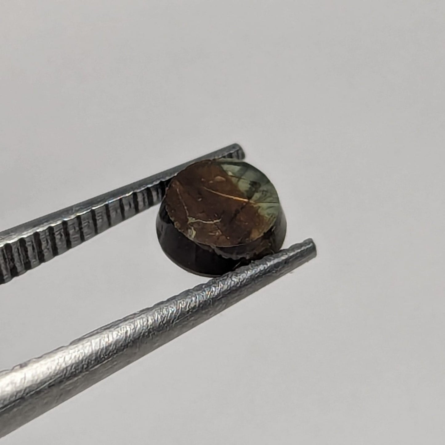 F-ZGSA4
