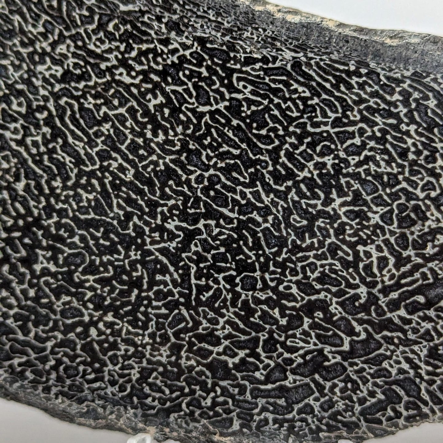 FO-HUSA2