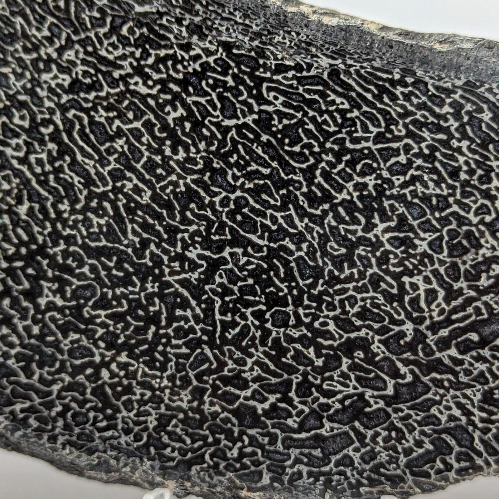 FO-HUSA2
