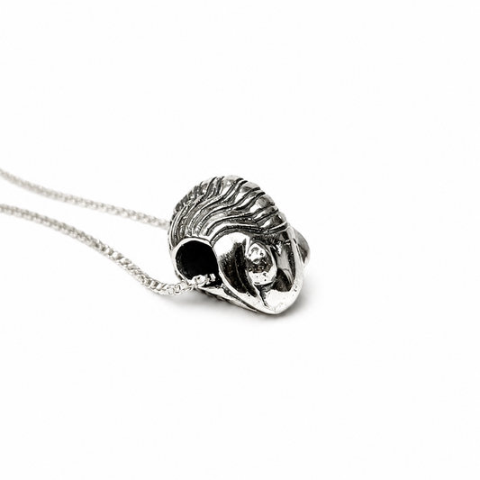 Collar De Trilobite