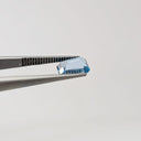F-TASD2