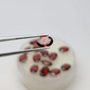 Granate Facetado Ovalado 5 mm x 7 mm