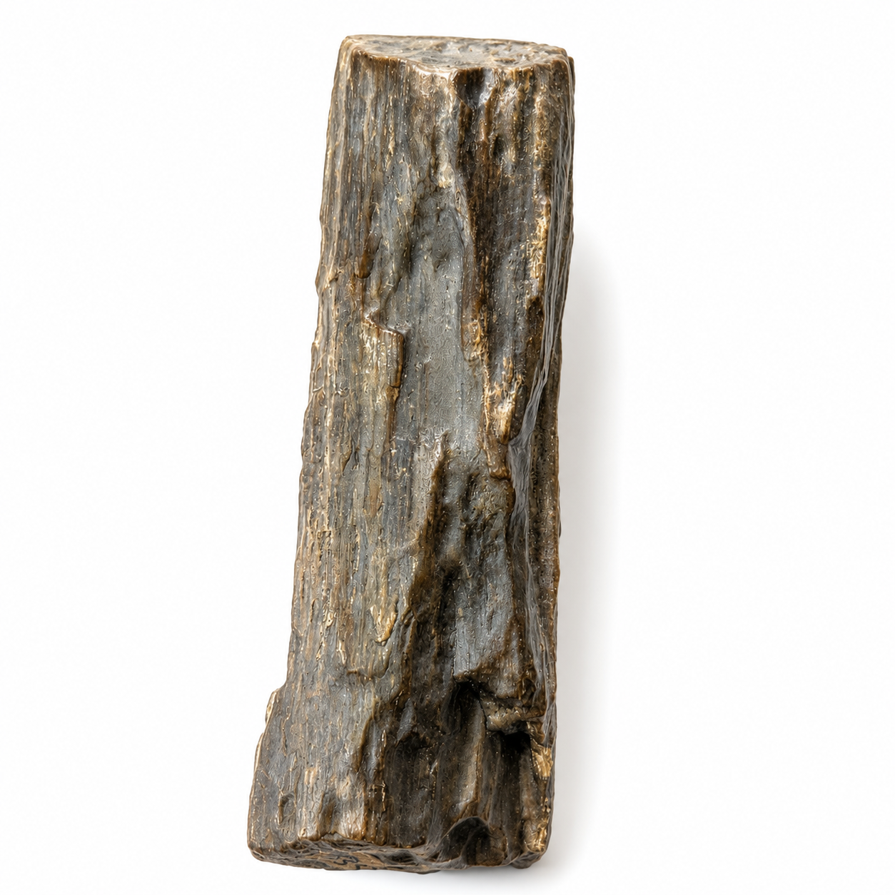 Fósil de Madera Petrificada 11 x 3 cm