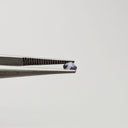 F-IOA3