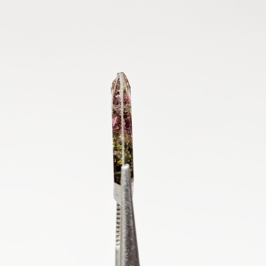 Turmalina Liddicoatita Rodajas Deltoide 17 mm x 13.34 mm
