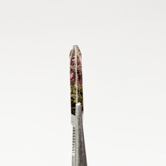 Turmalina Liddicoatita Rodajas Deltoide 17 mm x 13.34 mm