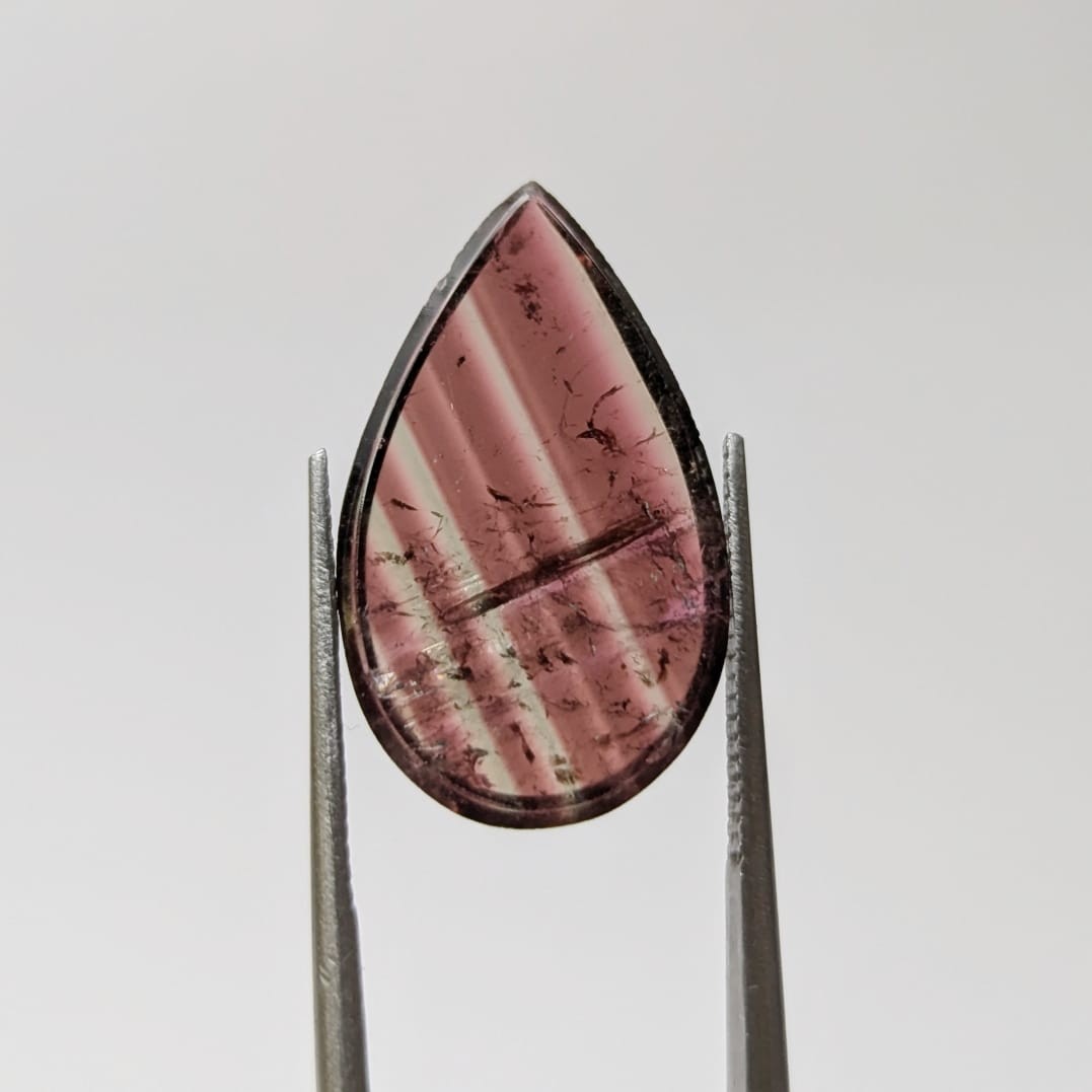 Turmalina Liddicoatita Rodajas Gota 19.62 mm x 11.8 mm