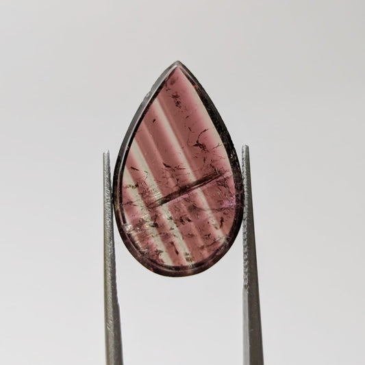 Turmalina Liddicoatita Rodajas Gota 19.62 mm x 11.8 mm