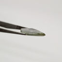 Turmalina Liddicoatita Rodajas Deltoide 15.1 mm x 12.12 mm