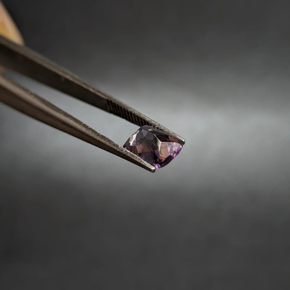 F-AMATLD1