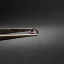F-AMATLA5