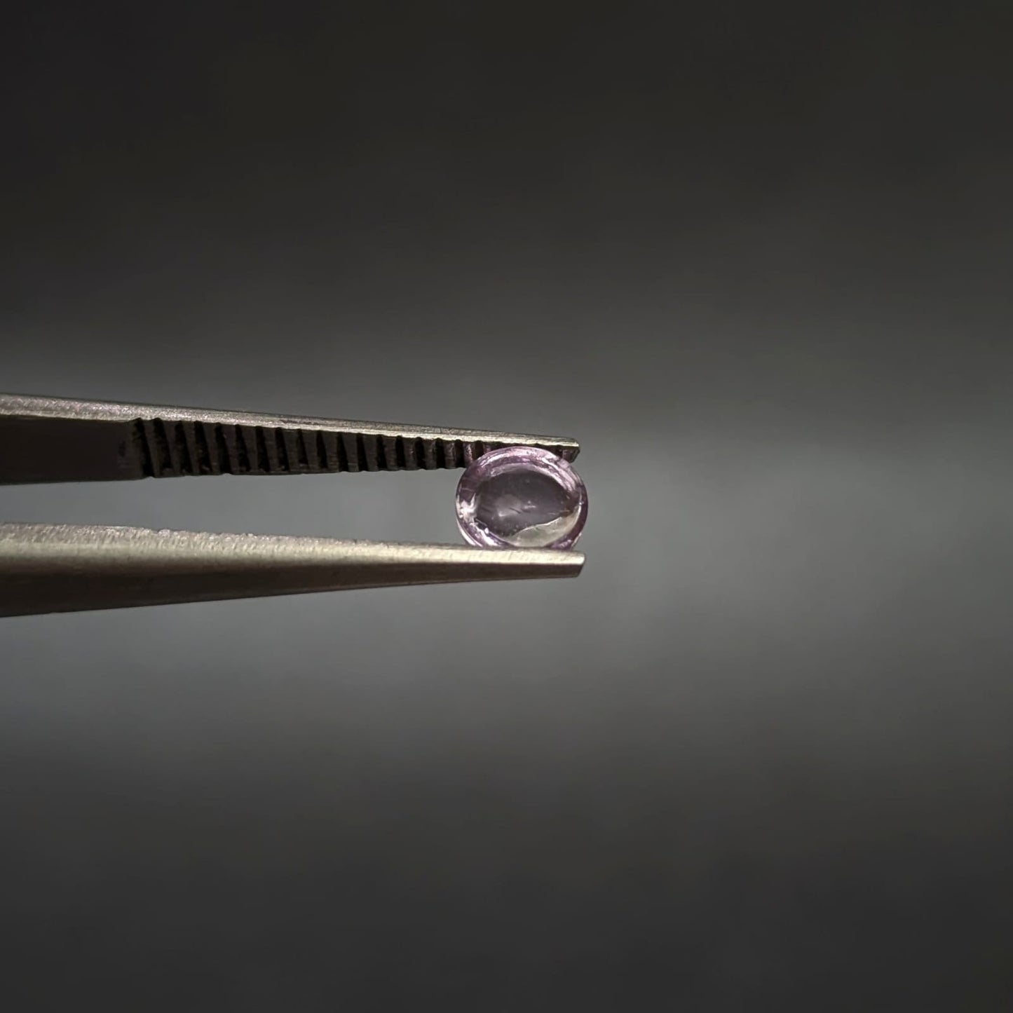C-AMATLA1
