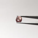 Espinela Rojo 10 X 654 Mm