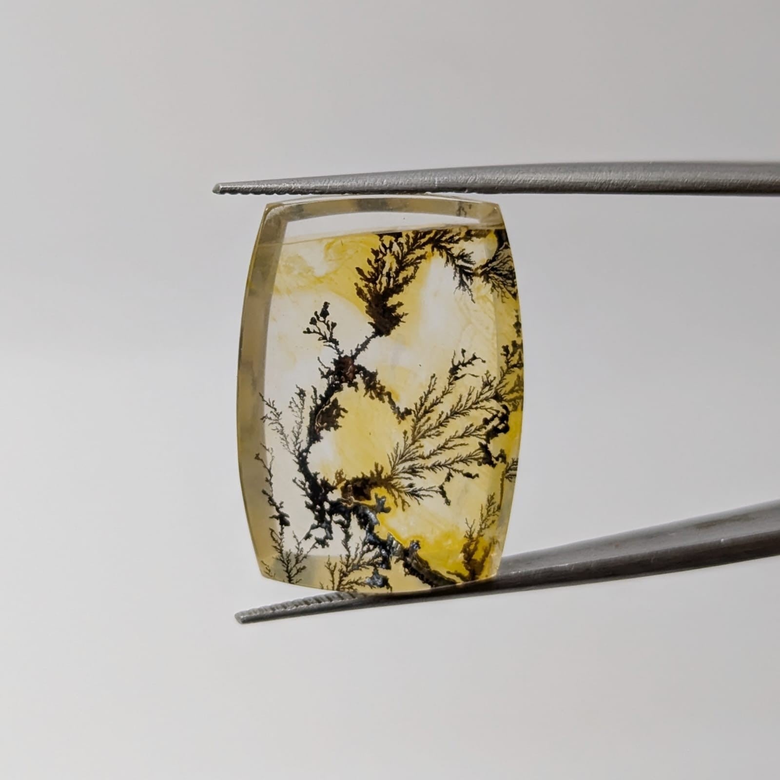 Cuarzo con dendrita Cabuchon Forma libre 21 mm x 14.8 mm