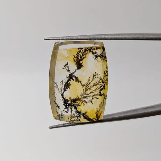 Cuarzo con dendrita Cabuchon Forma libre 21 mm x 14.8 mm