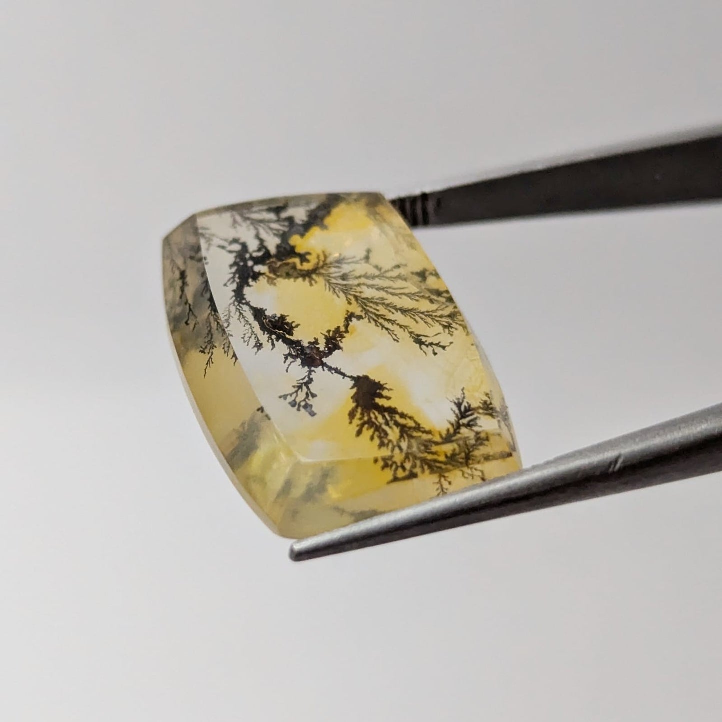 Cuarzo con dendrita Cabuchon Forma libre 21 mm x 14.8 mm